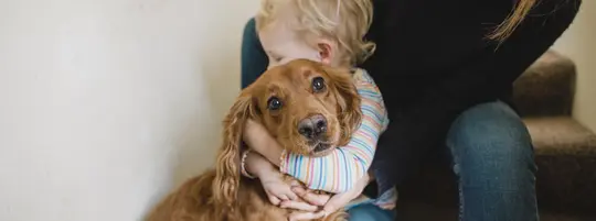 A woman and a young child hugging a spaniel on the stairs.