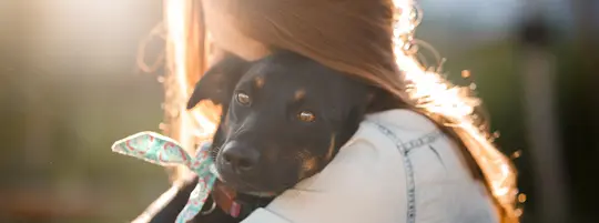 Girl with long brown hair hugs her black and brown mixed breed dog with bow around neck