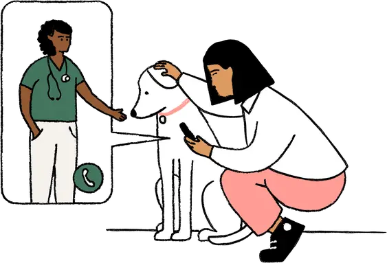 Dog and owner calling vet
