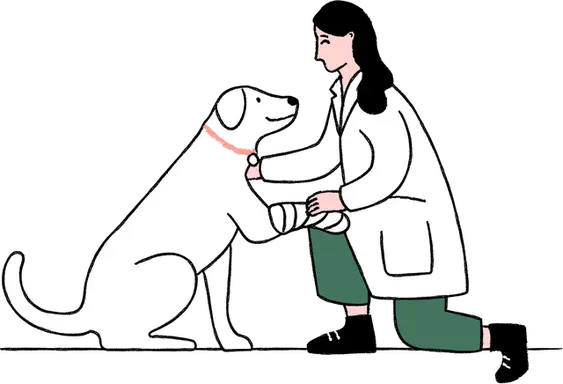 Carton vet on one knee looking after a dog with a bandage on paw
