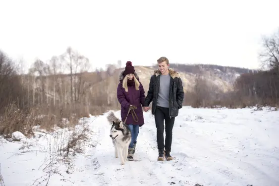 Walking a husky in the snow